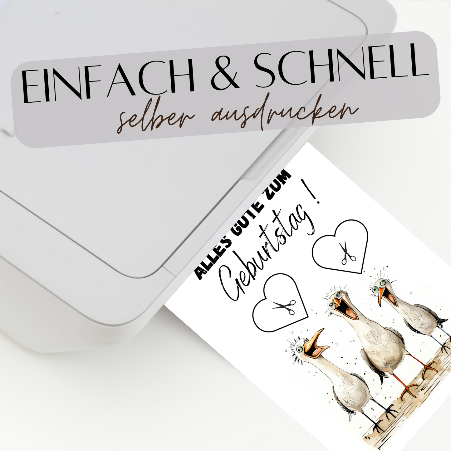 Maritimes Geldgeschenk zum Geburtstag mit lustigen Möwen. Digitaler Download zum Ausdrucken & Einrahmen. Perfekte Last-Minute-Geschenkidee!