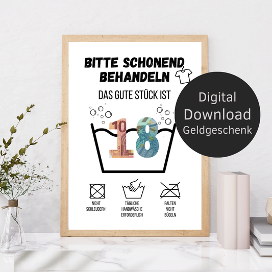 Geldgeschenk 18. Geburtstag Waschanleitung Volljährigkeit | Digitaler Download | Last-Minute DIY Geschenk
