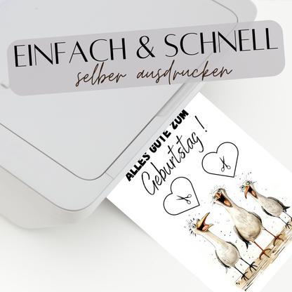 Maritimes Geldgeschenk zum Geburtstag mit lustigen Möwen. Digitaler Download zum Ausdrucken & Einrahmen. Perfekte Last-Minute-Geschenkidee!